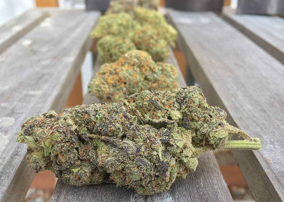 High Octane OG 1