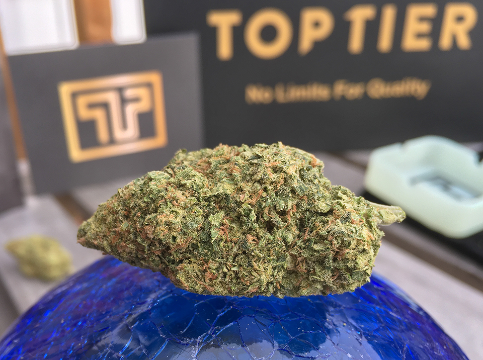 Chem Dawg 1