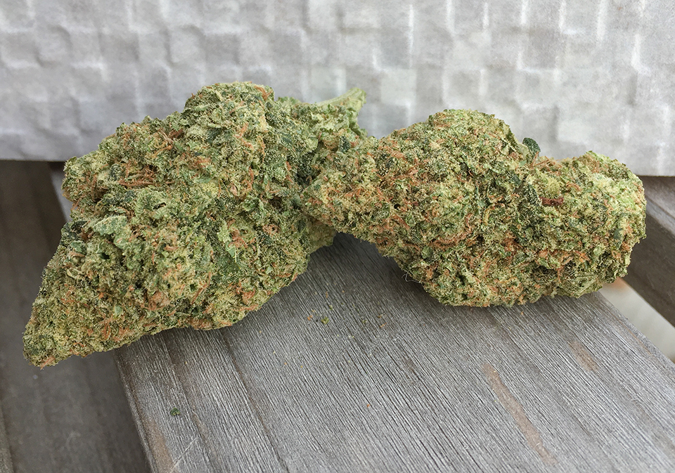 Chem Dawg 2