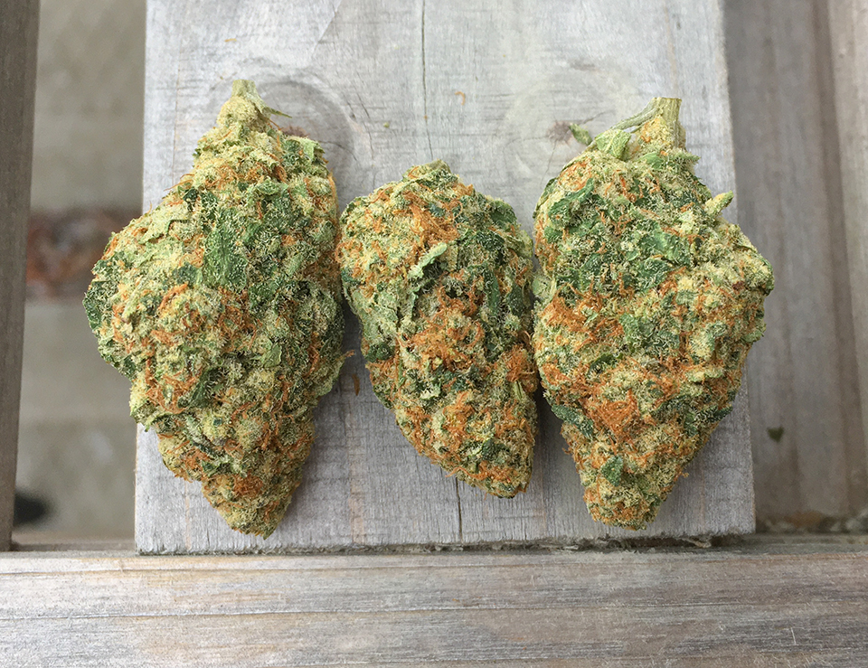Peanut Butter Breath 2