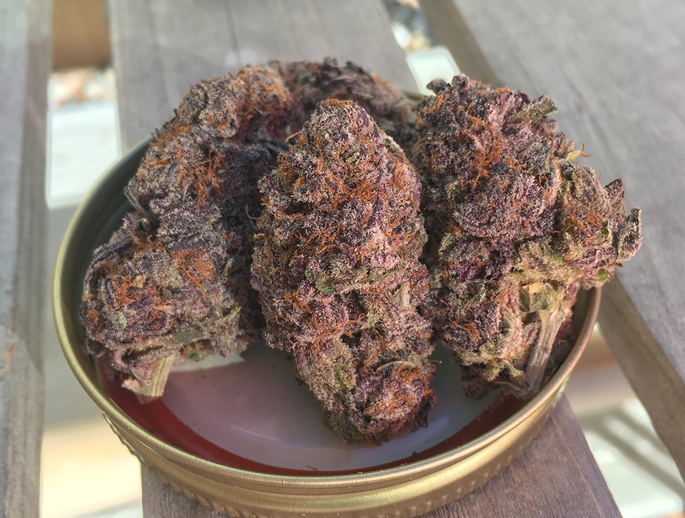 Raspberry Mint Cookies 1