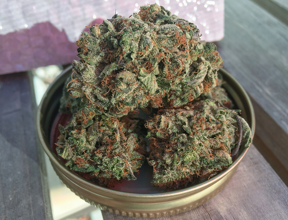 Comatose OG 1