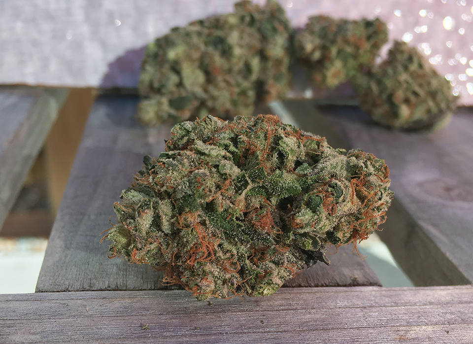 Comatose OG 2