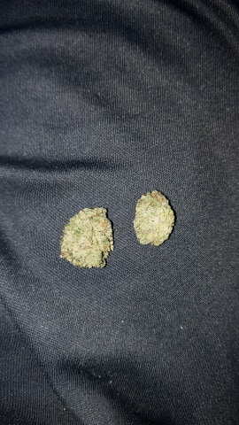 Holy Grail