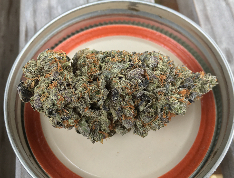 Black Gas 1