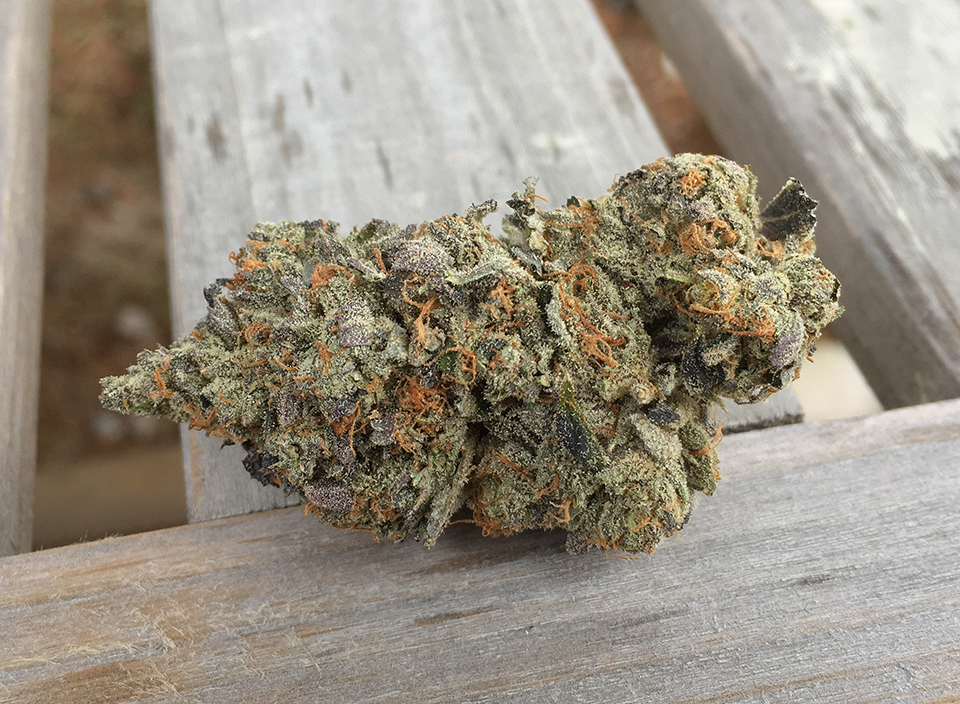 Black Gas 2