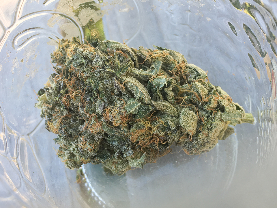 Lindsay OG 2
