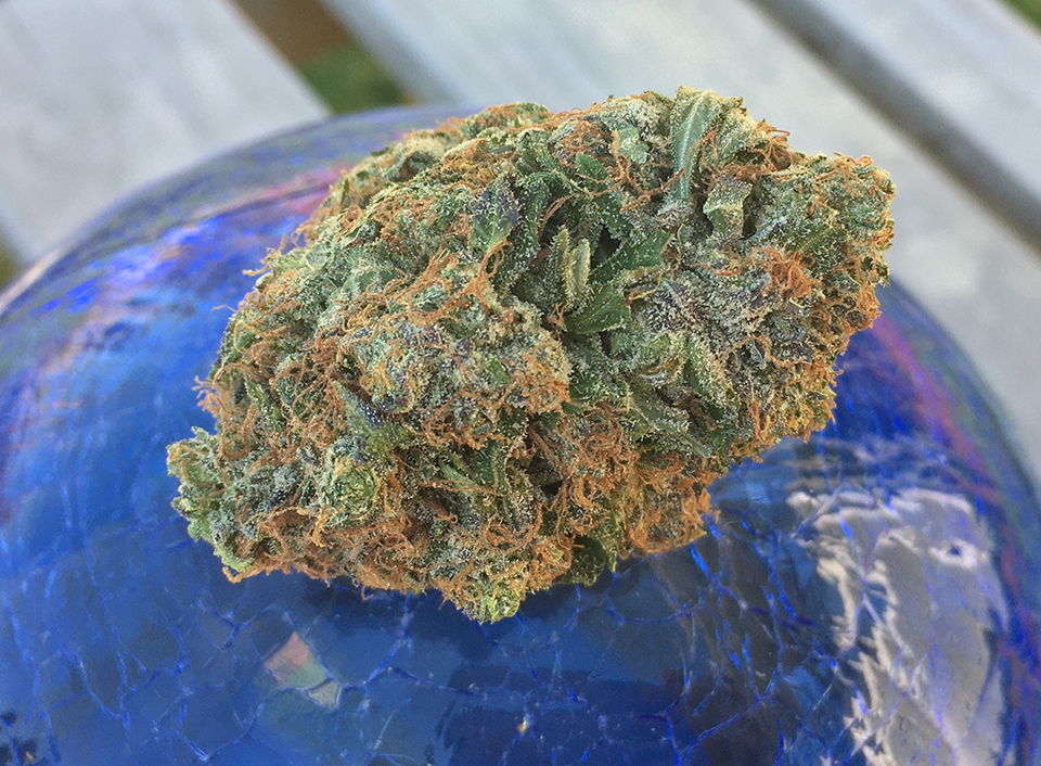 Dawgfather OG 2