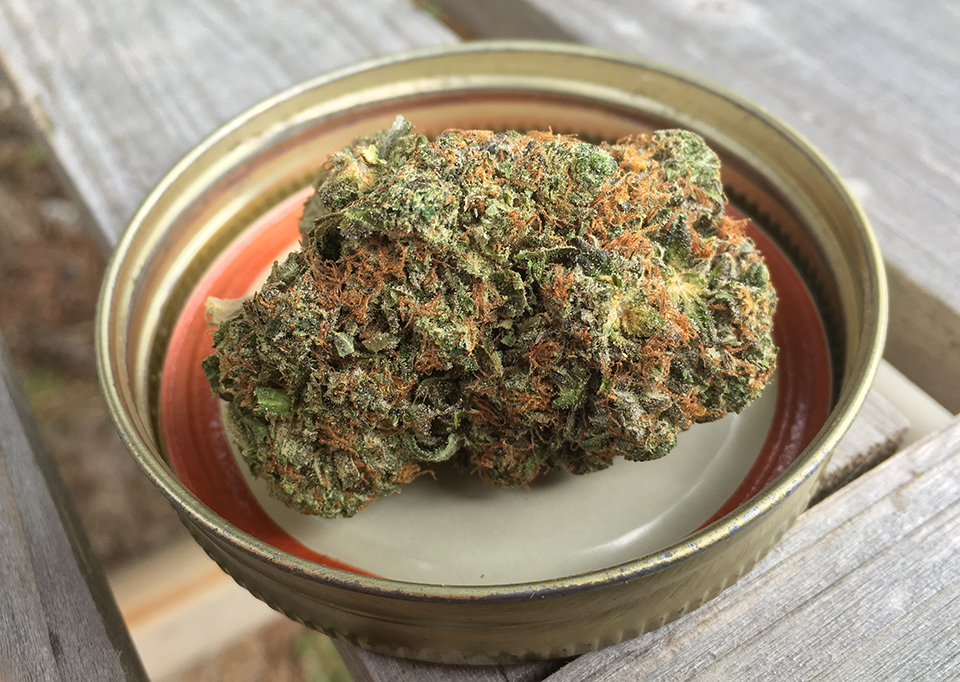 Diablo Pink Kush 1
