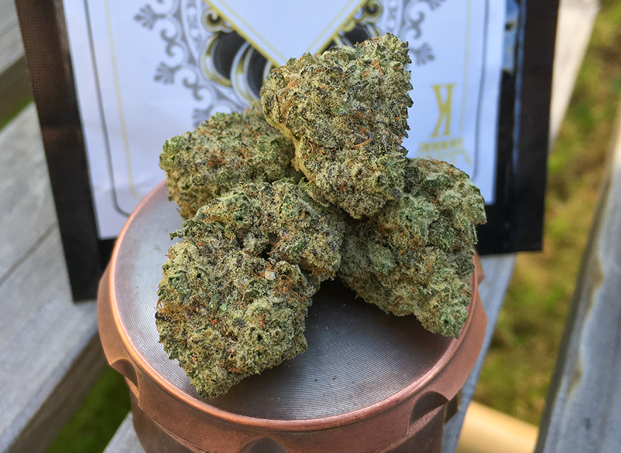 Donkey Butter 1