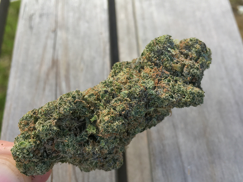 Jack Frost 2