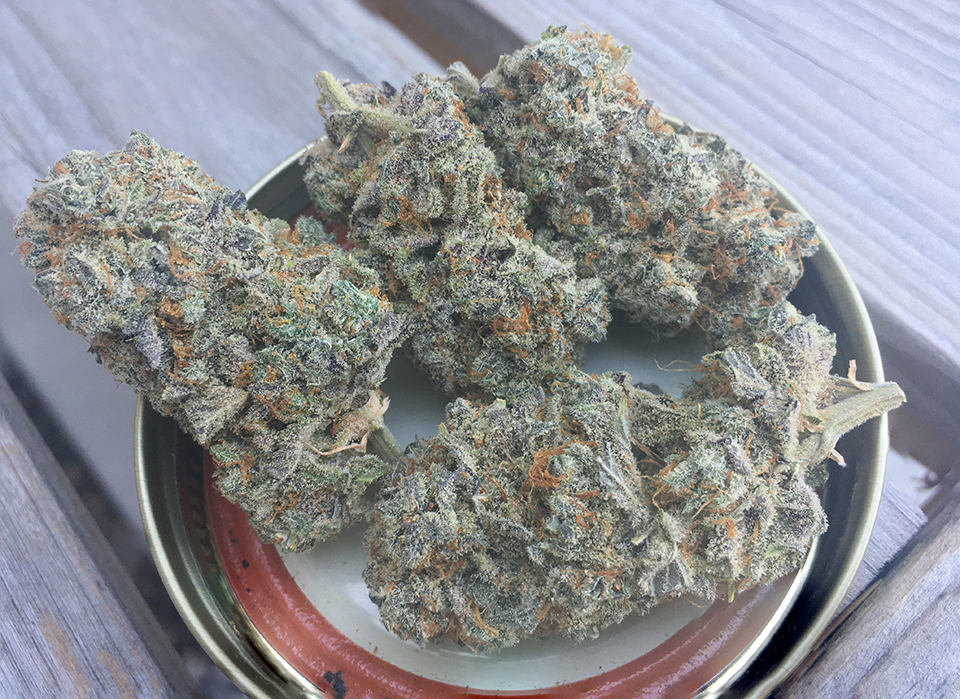 Purple God 1