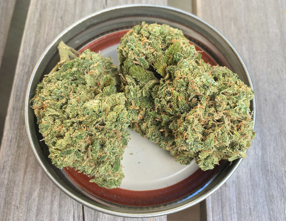 Honey Badger Haze 2