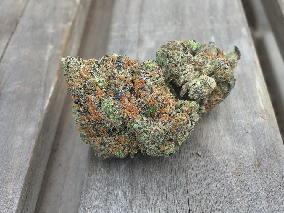 Garlic Sherbert 1