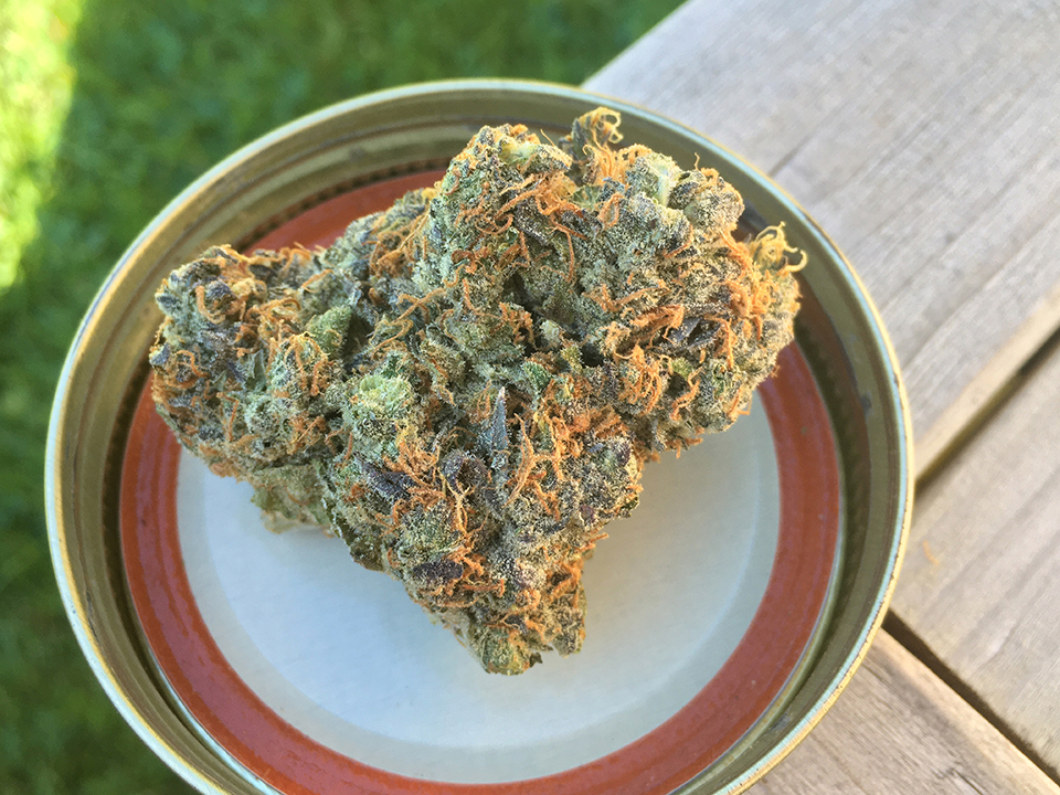 Grease Monkey 1
