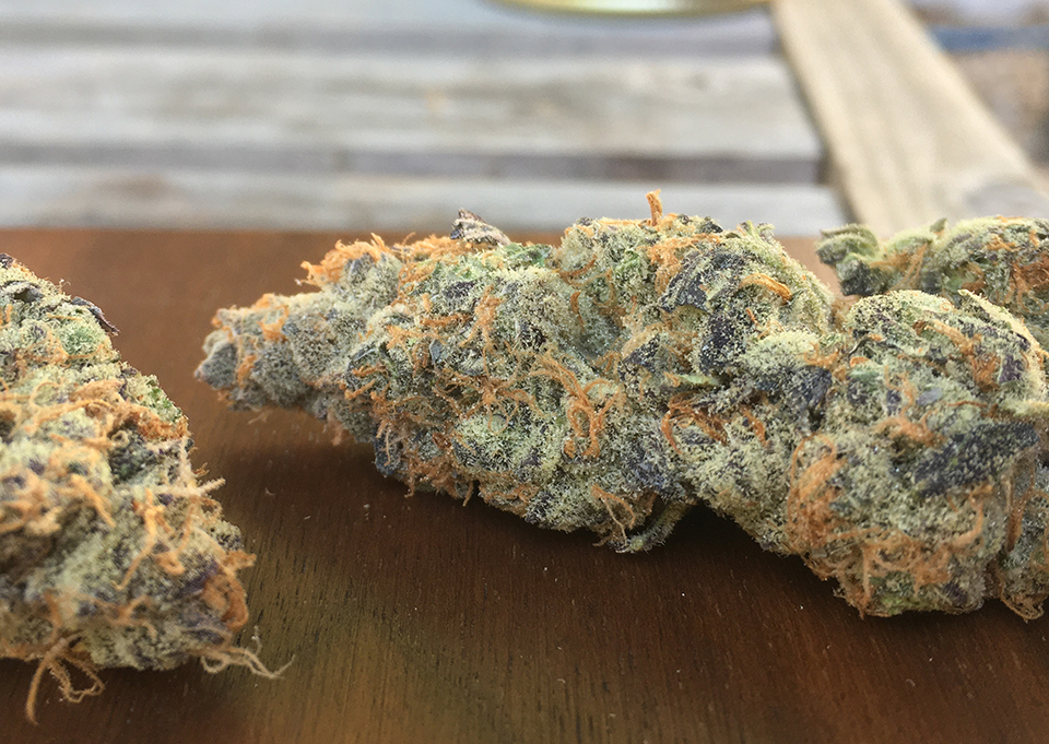 Pura Breath 1