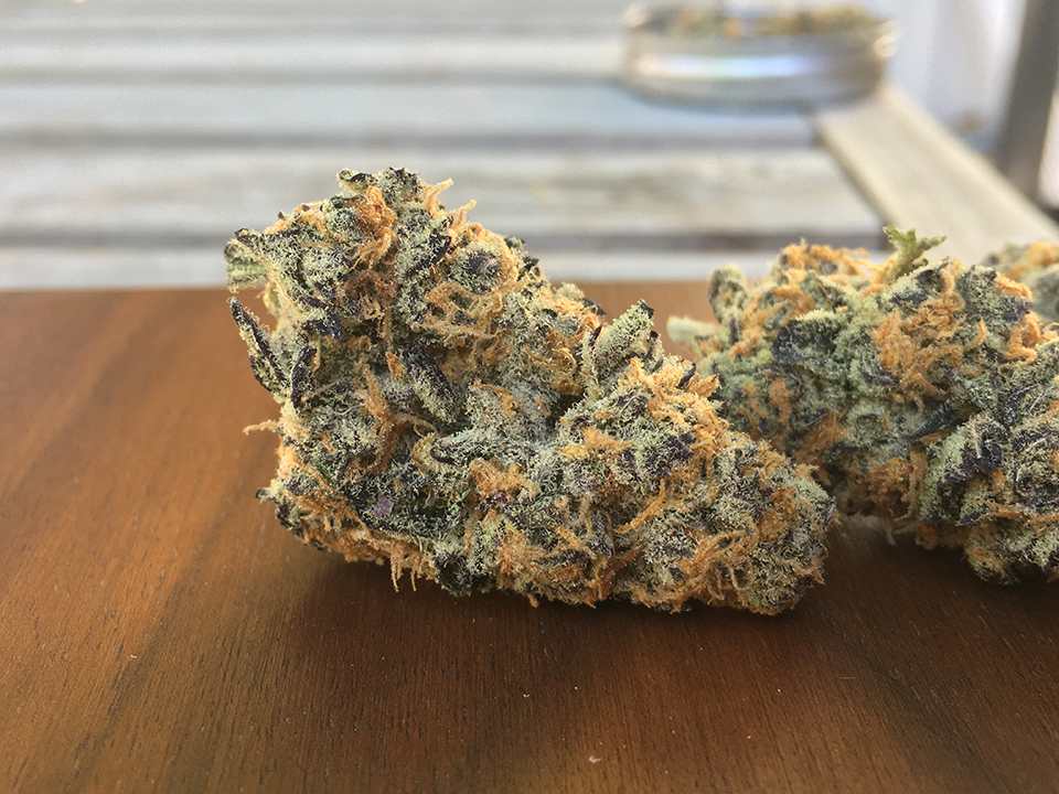 Mendo Breath 1