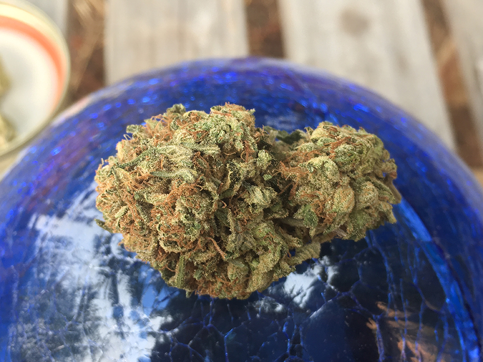 ECD 1