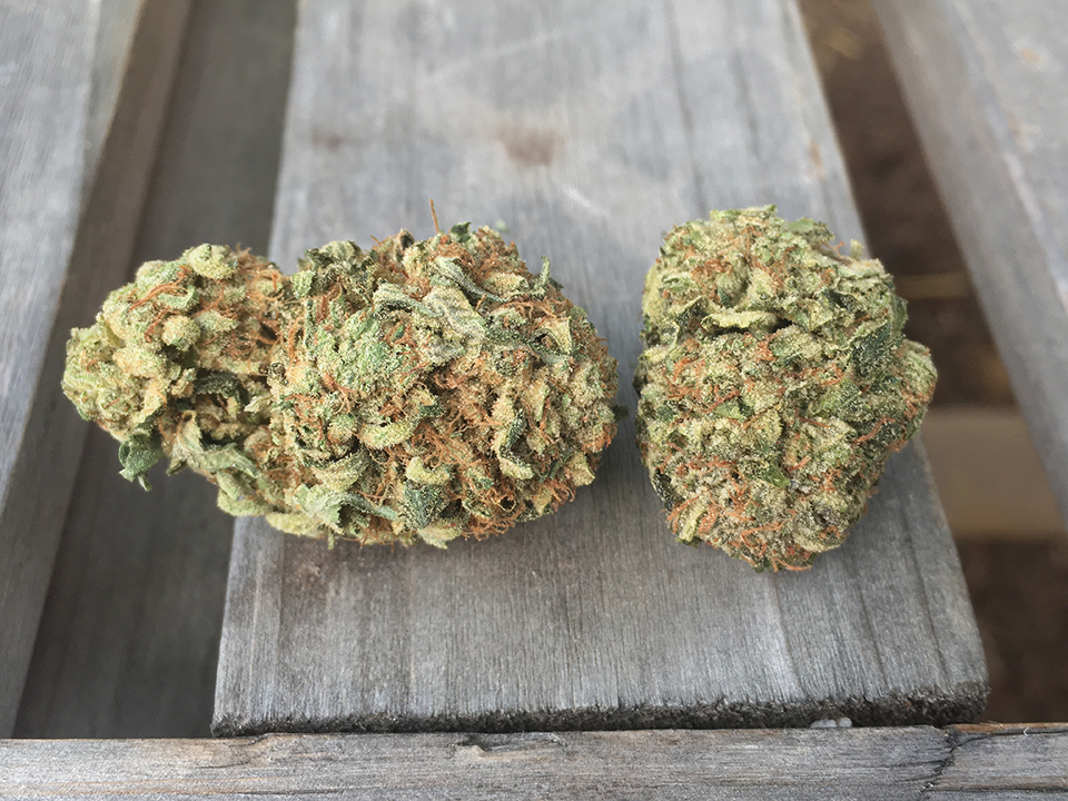 ECD 2