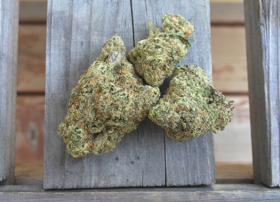 Fruity Pebbles OG 1