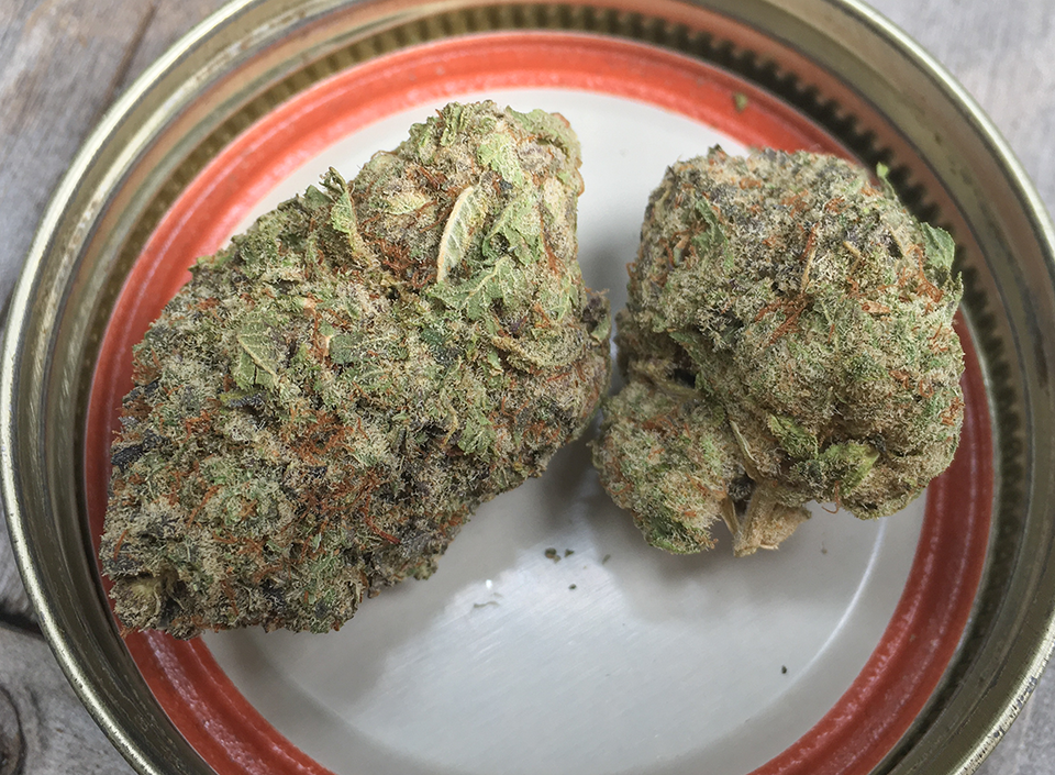 Blueberry Yum Yum