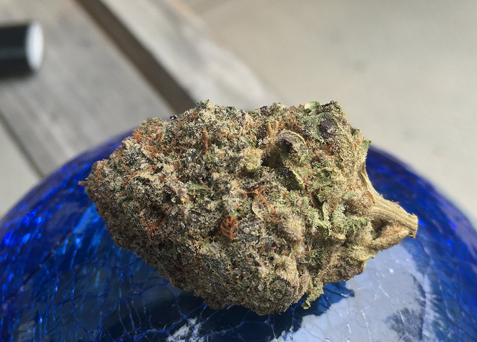 Blueberry Yum Yum 2