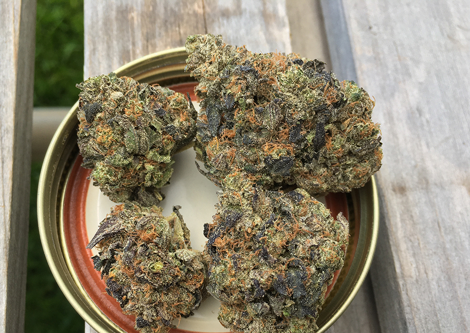 Tuna Rock 1