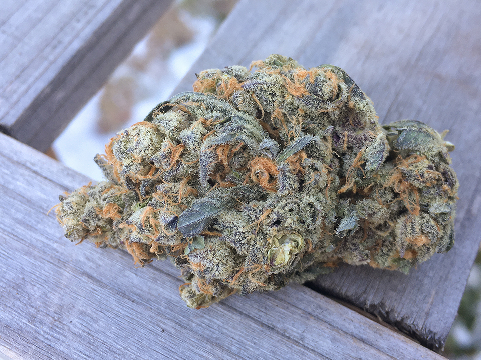 Lava Cake 1
