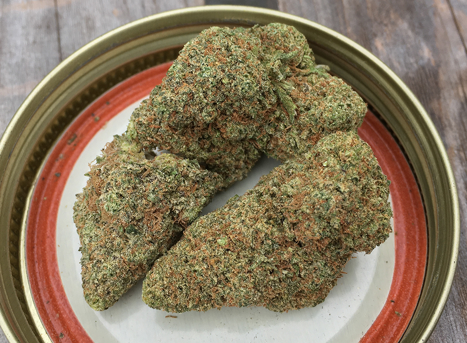 Raspberry Kush 1