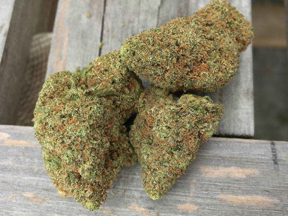 Raspberry Kush 2