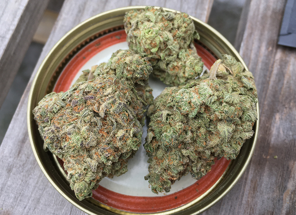 Blue Dream 1