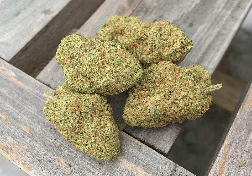Cookie Wreck 2
