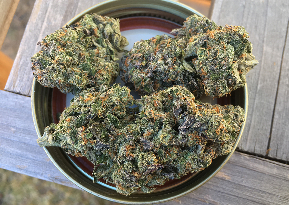 Gelato #33 1