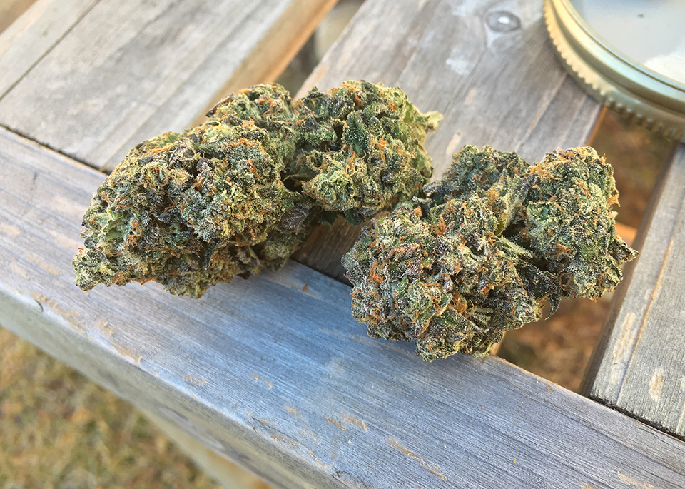Gelato #33 2