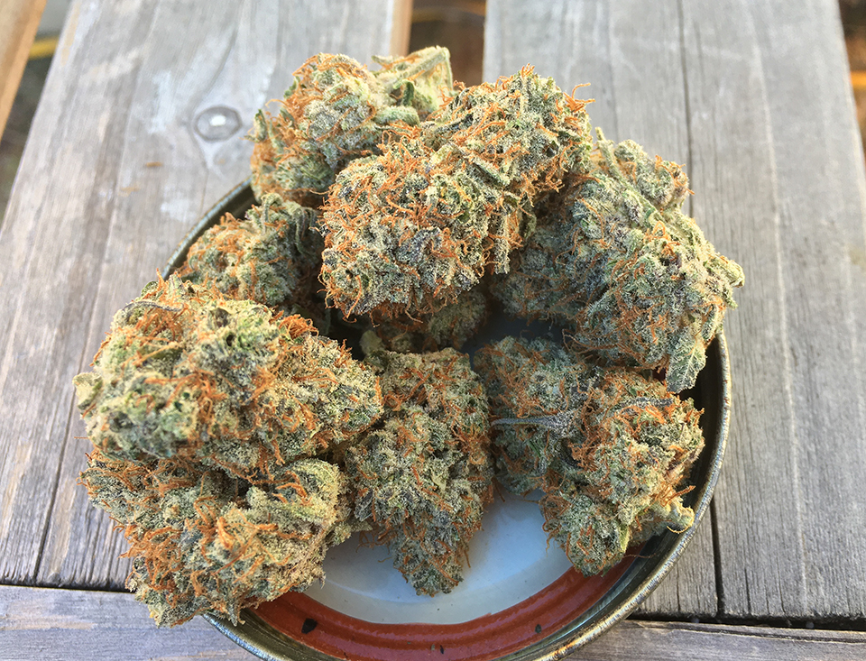 Red Congo 2