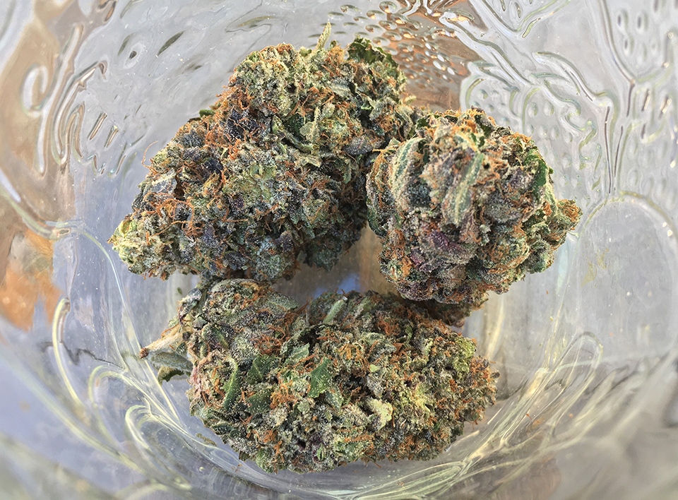 Pink Rockstar Kush 2
