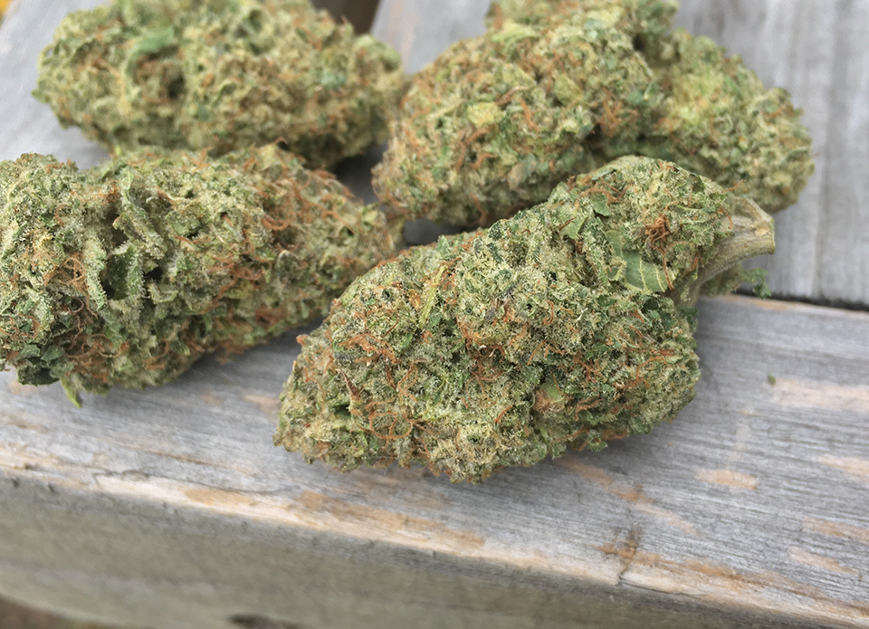 Sophie's Breath 1