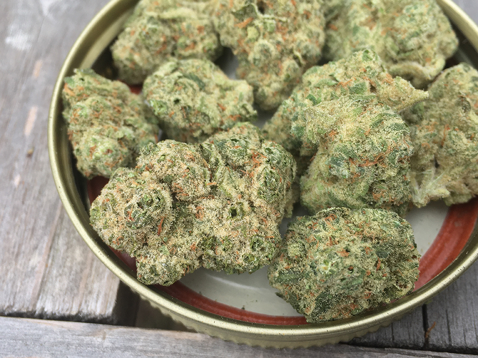 Dosi Pie 1