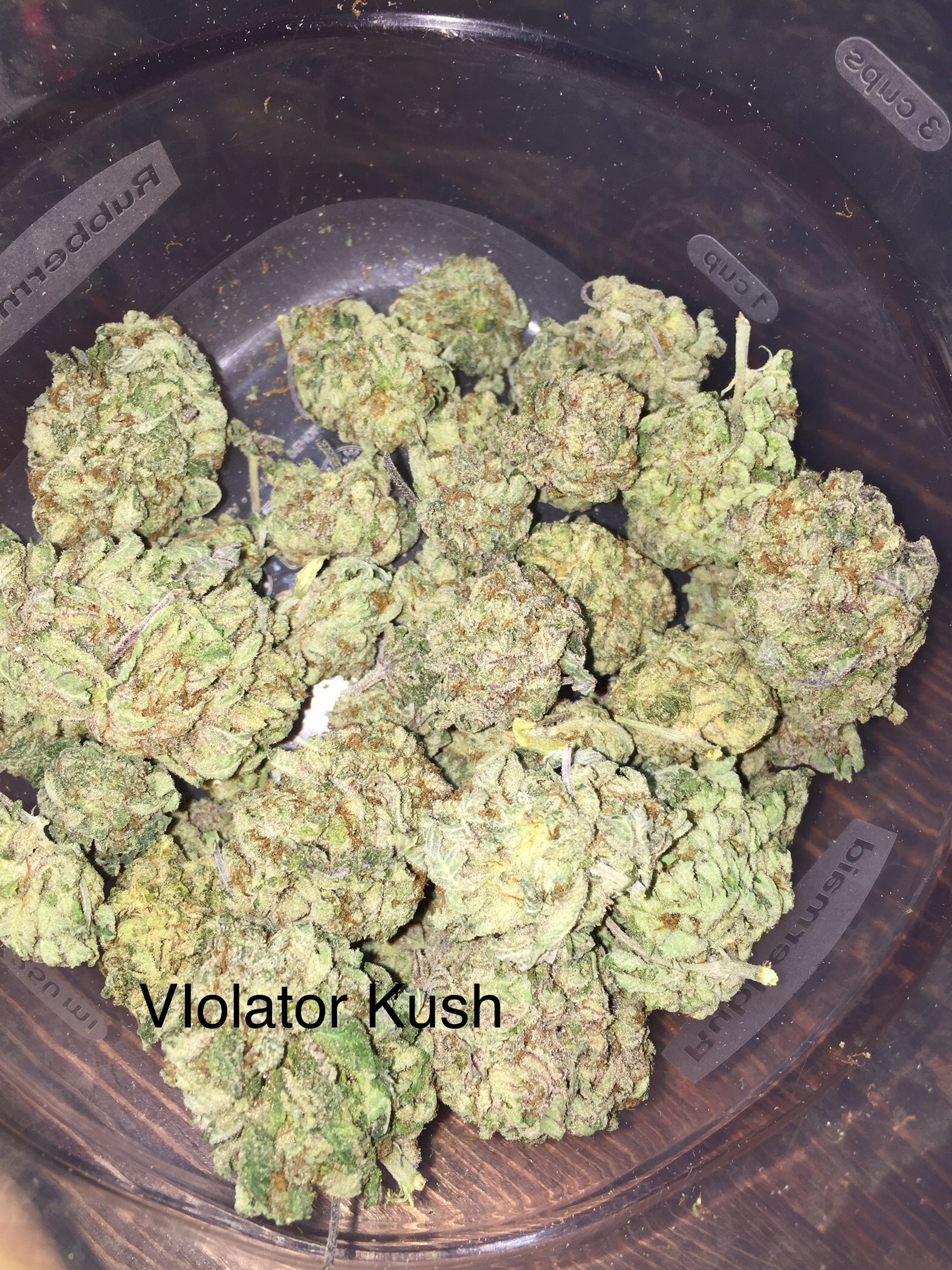 Violator Kush.JPG