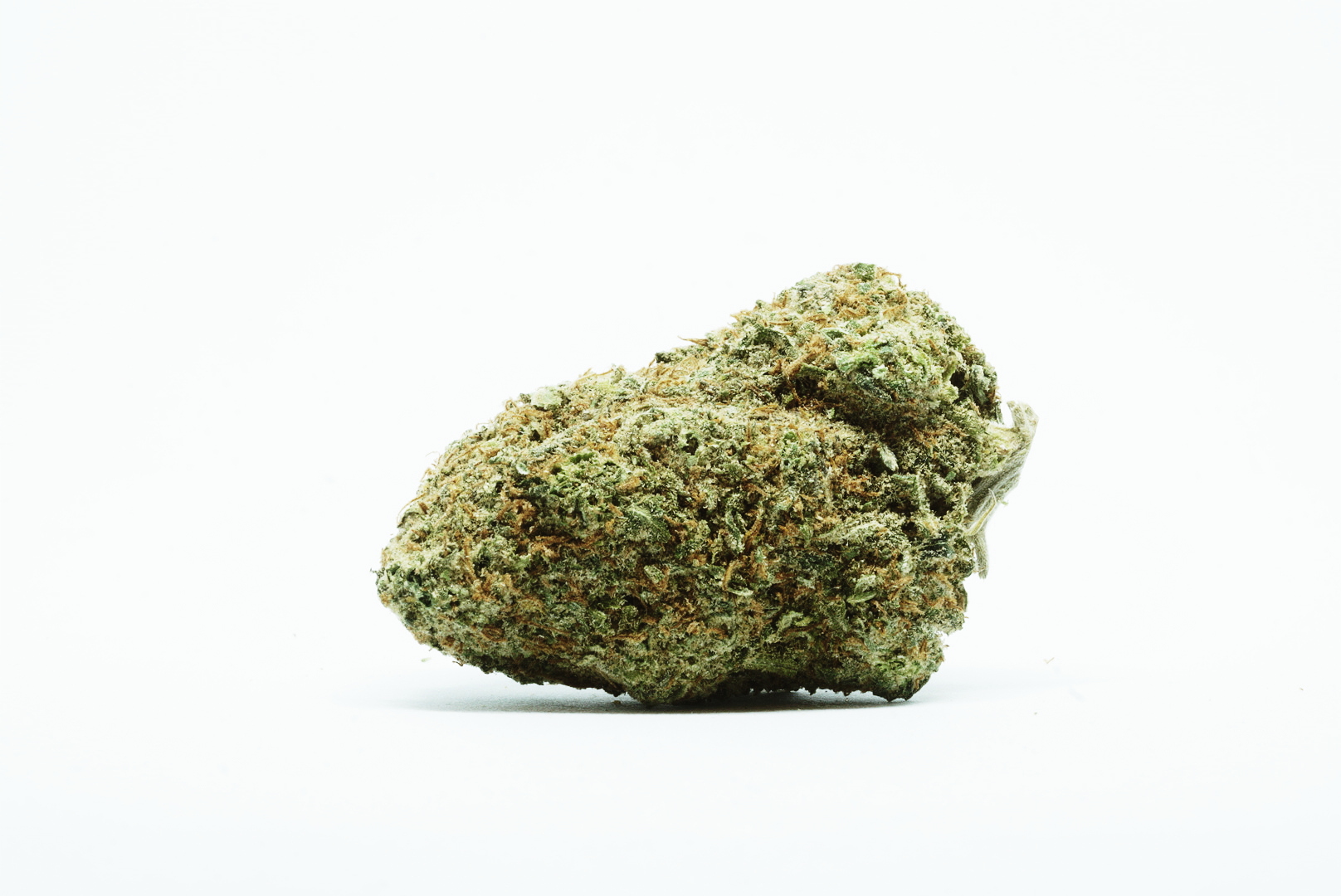 Nuken1 (3).jpg