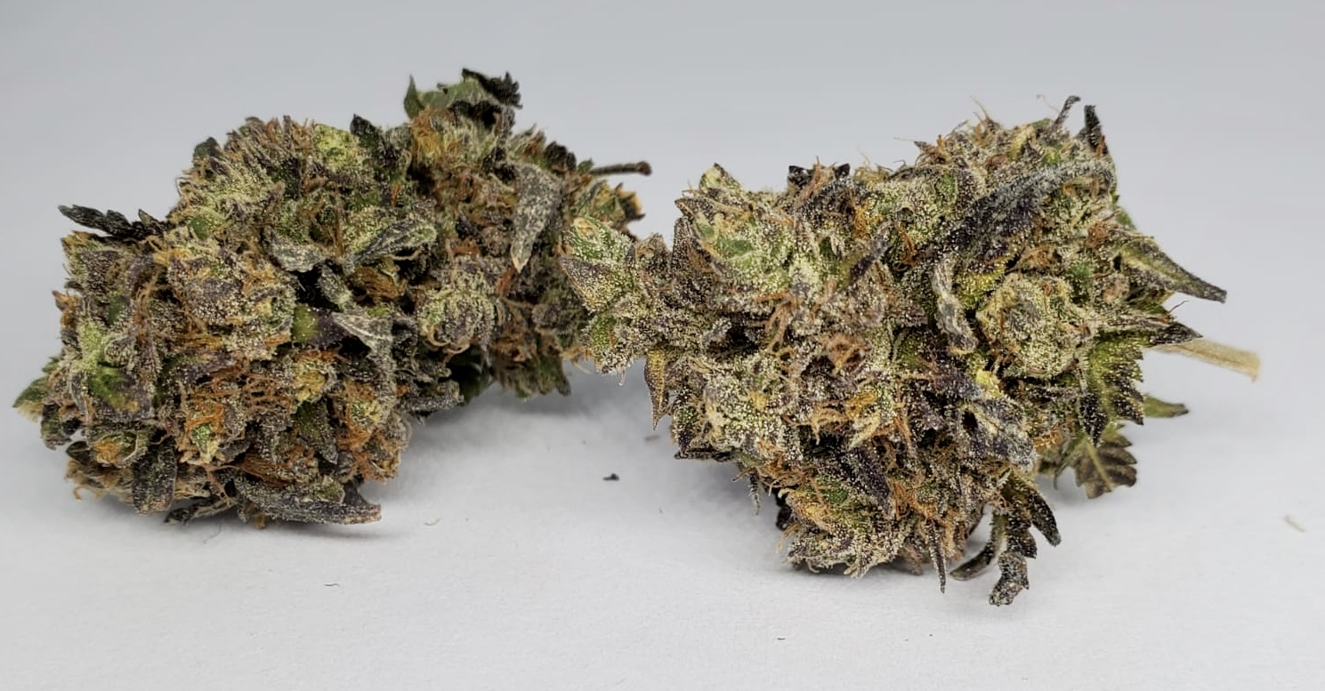 Organic Blue Fin Tuna