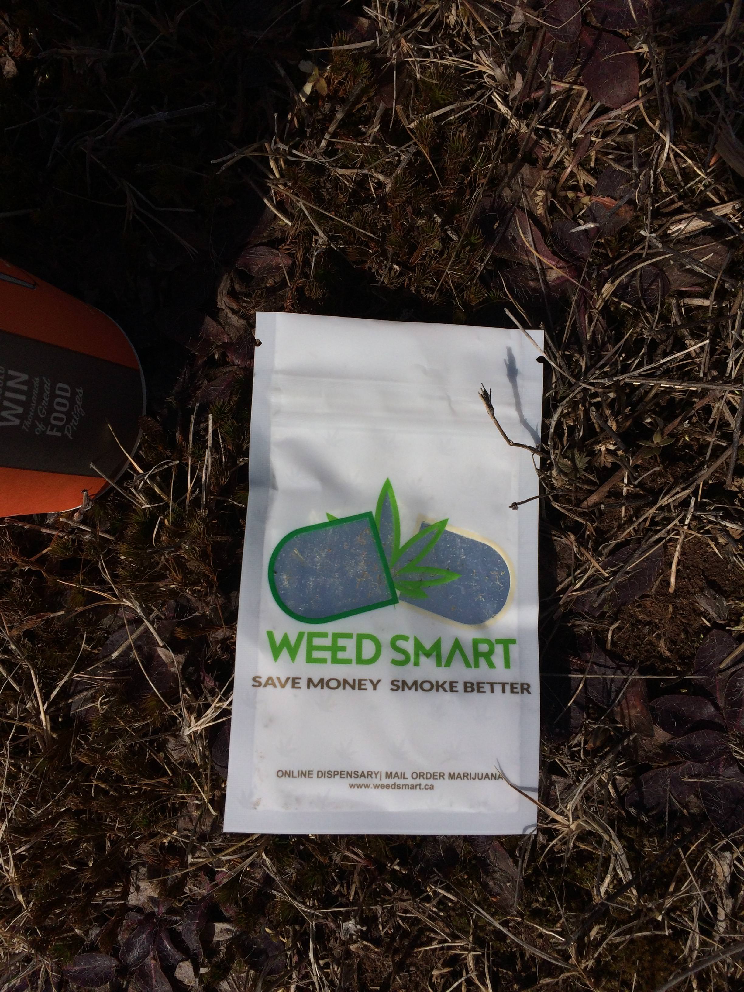 Cup of coffee and a weedsmart bag outside in the grass good morning world.jpg