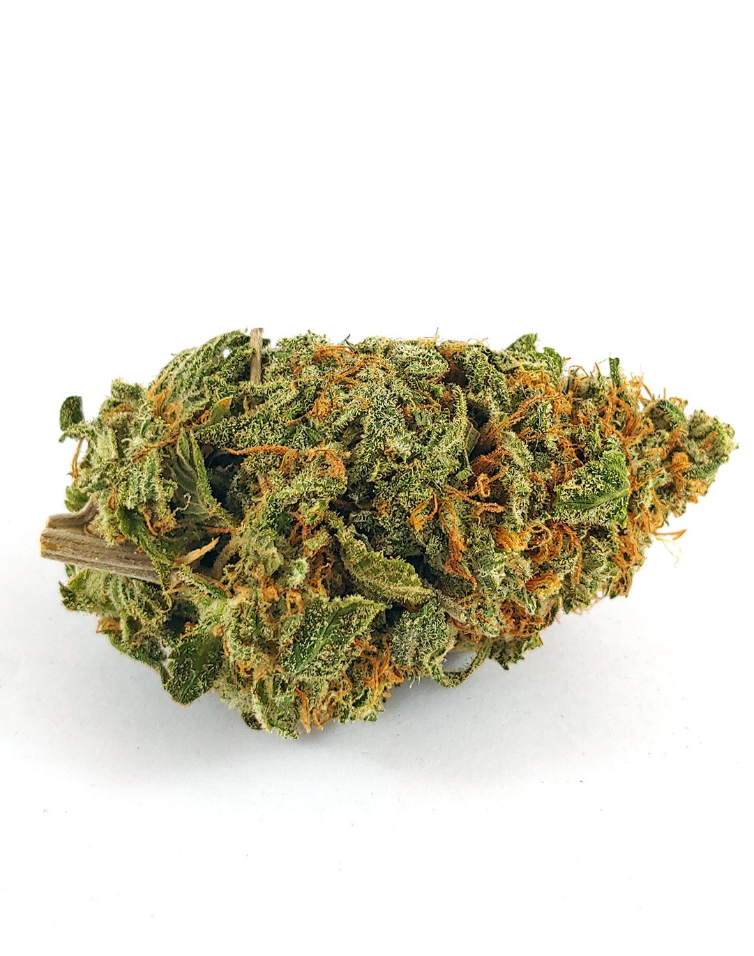 Sour Amnesia